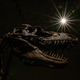 A dinosaur skeleton mounted at an auction.